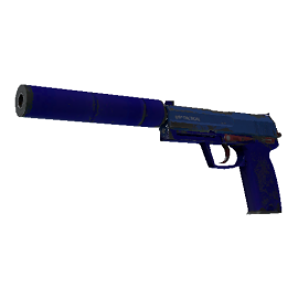 USP-S | Royal Blue  (Well-Worn)