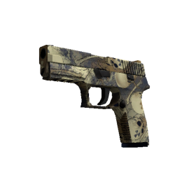 P250 | Contamination  (Factory New)