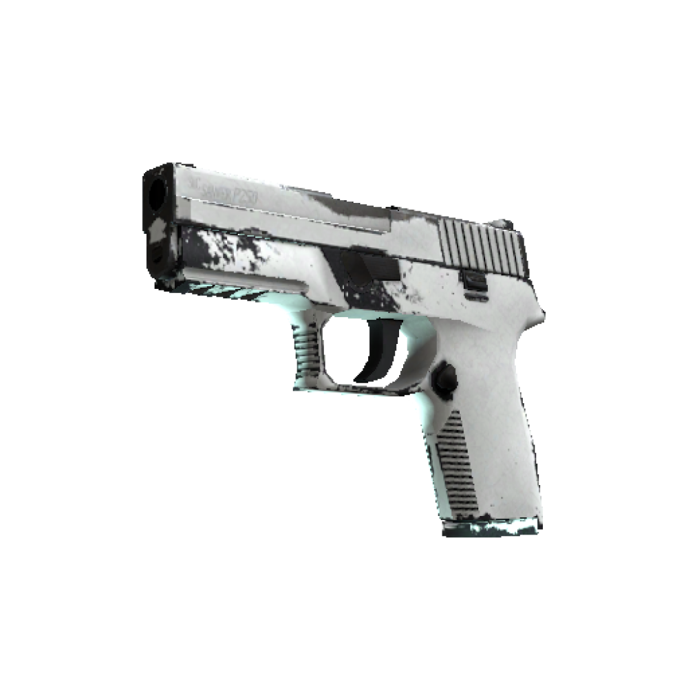 P250 | Whiteout  (Field-Tested)