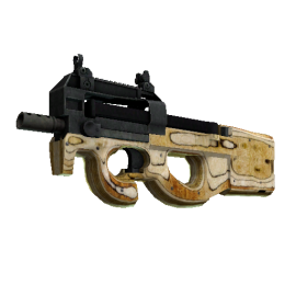 P90 | Shapewood  (Well-Worn)