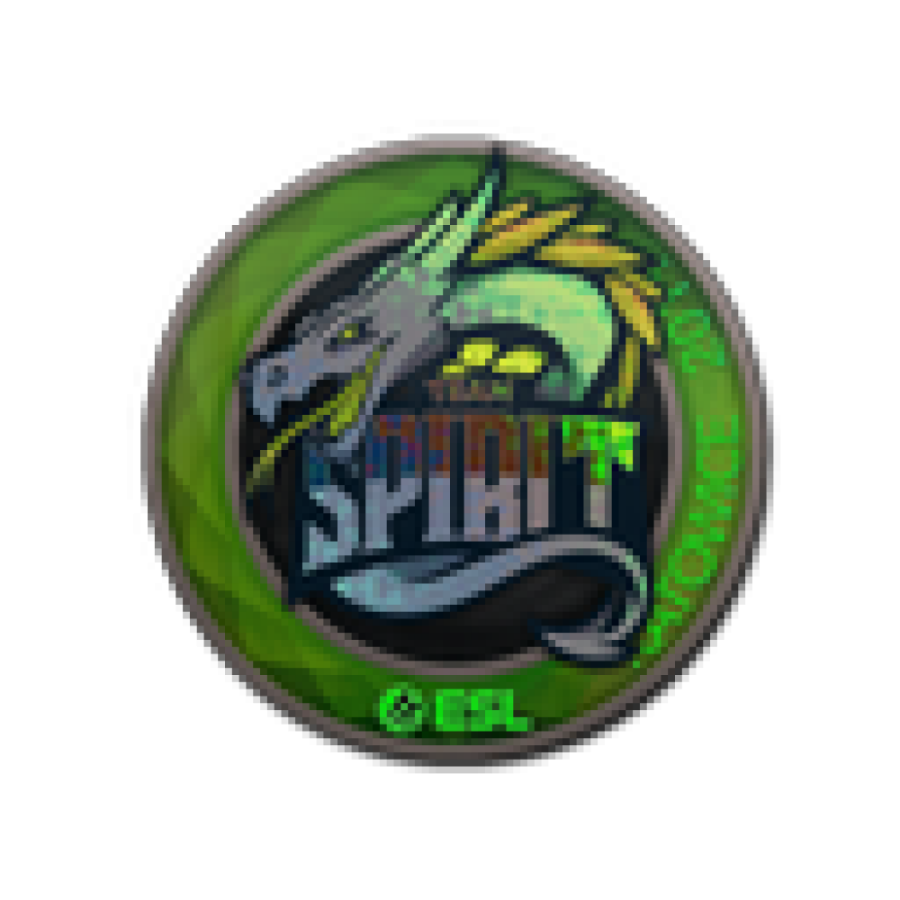 Team spirit stickers. Наклейки тим спирит КС го. Наклейка Team Spirit 2019. Spirit CS go наклейка. Зелёные Стикеры в КС го.