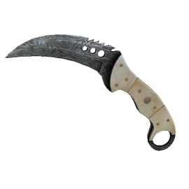 Talon Knife | Damascus Steel  (Battle-Scarred)