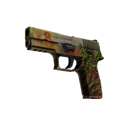 P250 | Inferno  (Field-Tested)