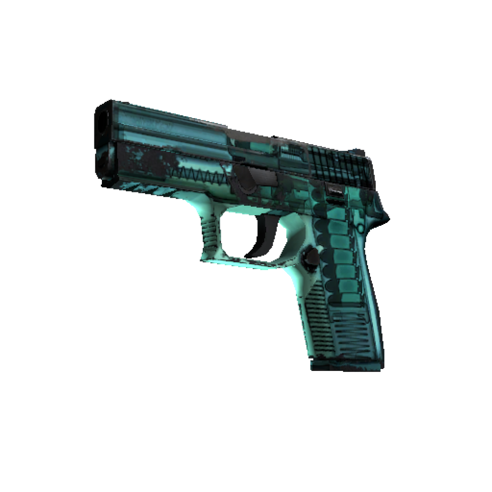 StatTrak™ P250 | X-Ray  (Field-Tested)