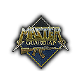 Patch | Metal Master Guardian