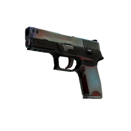 P250 | Cyber Shell  (Well-Worn)