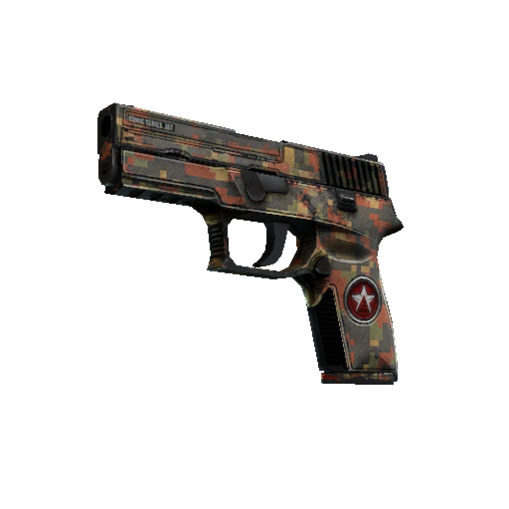 P250 | Red Rock  (Battle-Scarred)