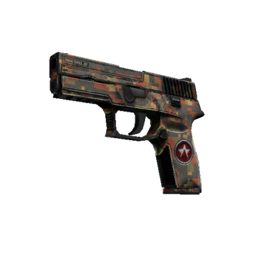 P250 | Red Rock  (Battle-Scarred)