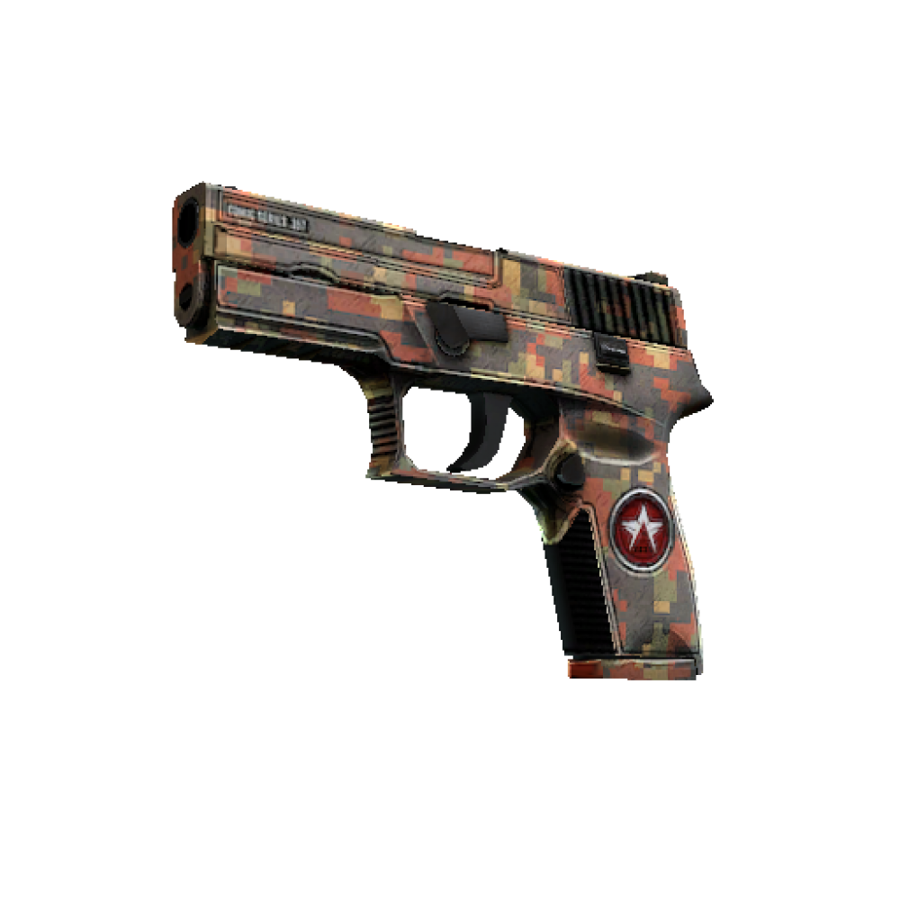 P250 | Red Rock  (Minimal Wear)