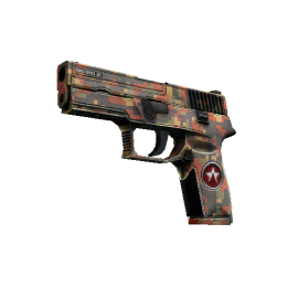 P250 | Red Rock  (Minimal Wear)