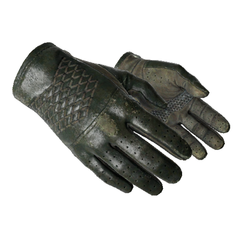 Driver Gloves | Racing Green  (Field-Tested)