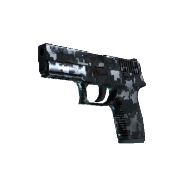 P250 | Steel Disruption  (Minimal Wear)