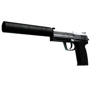 USP-S | Stainless  (Battle-Scarred)