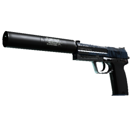 USP-S | Guardian  (Field-Tested)