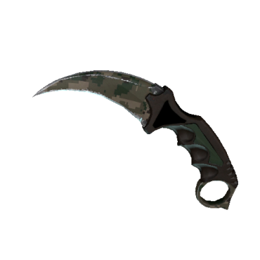 Karambit | Forest DDPAT  (Field-Tested)