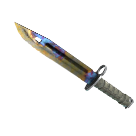 Bayonet | Case Hardened  (Well-Worn)